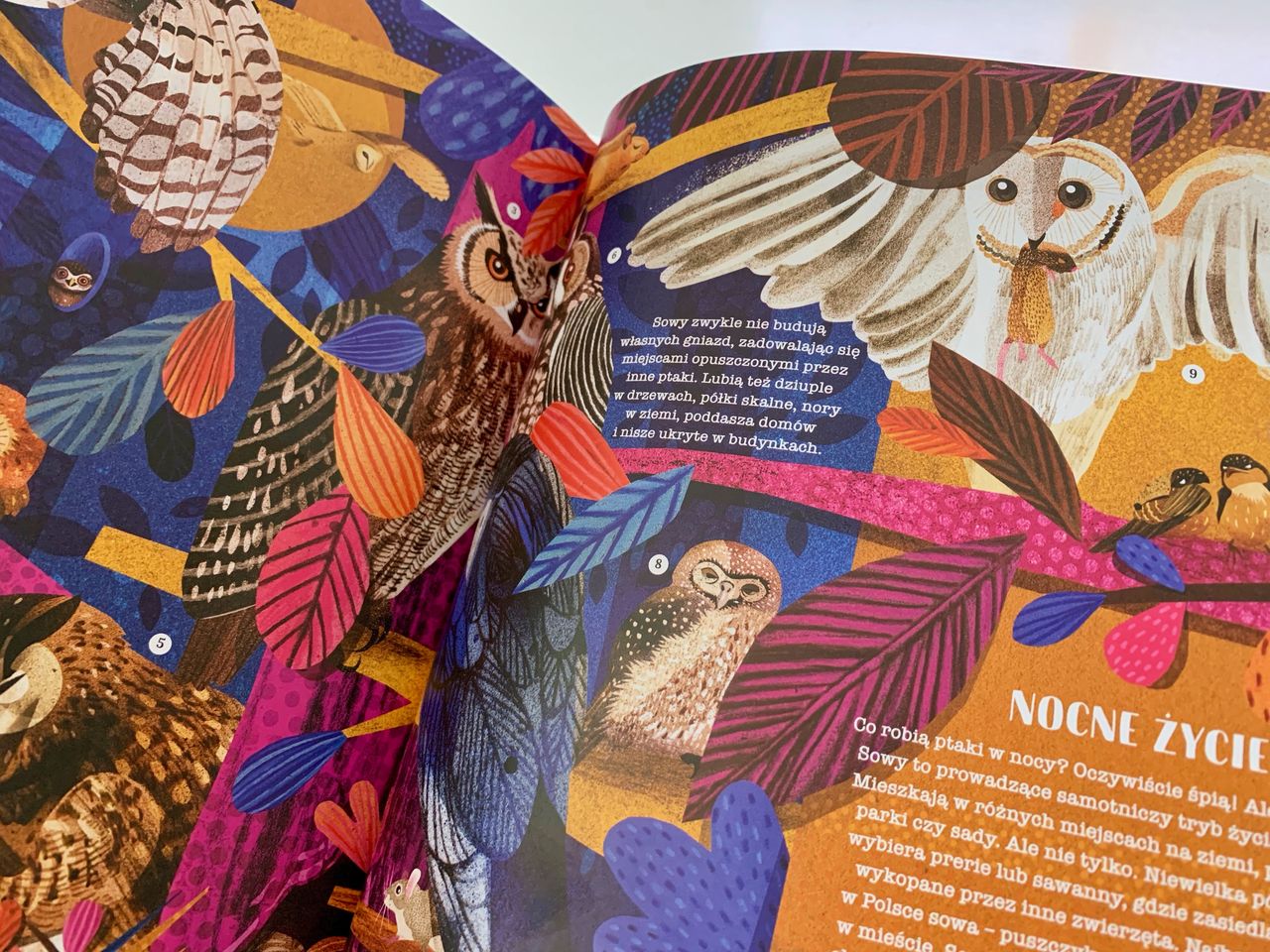 Ptasie opowieści – 2 tytuły dla pasjonatów ornitologii