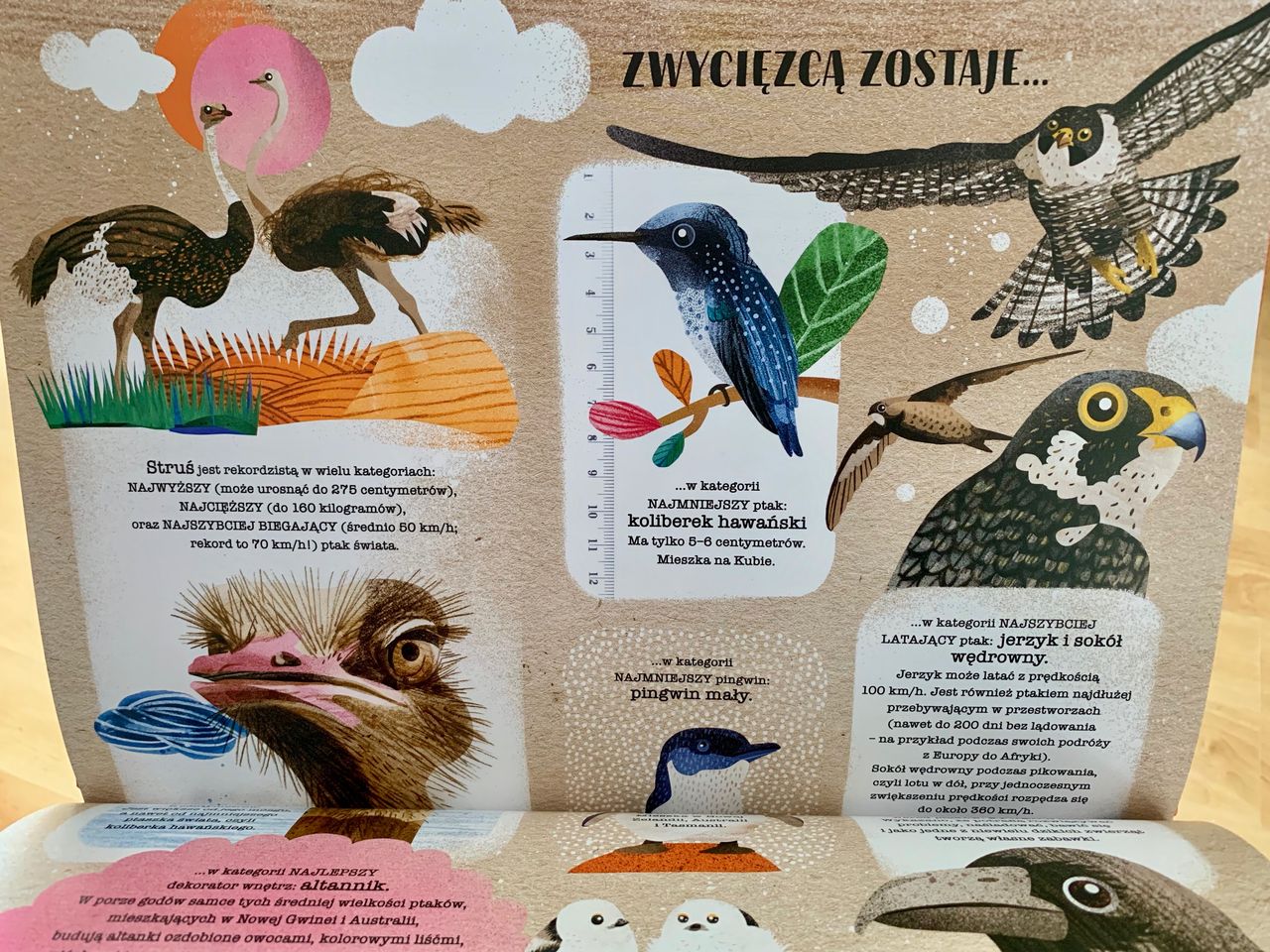 Ptasie opowieści – 2 tytuły dla pasjonatów ornitologii